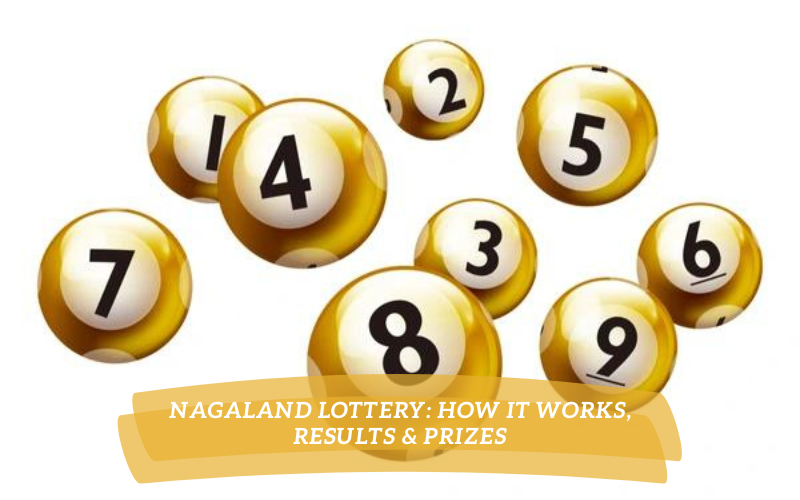 nagaland lottery